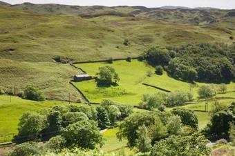 Apartamento Raisthwaite Farm