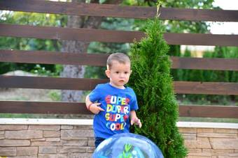 Bed & Breakfast Pensiune Restaurant Flamingo