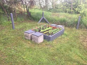 Abacus Vend�gh�z