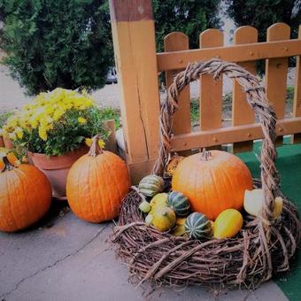 Apartamento Zsigmond Vend�gh�z