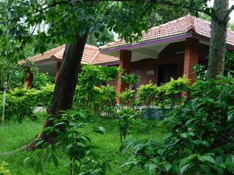 Hotel Wild Life Resort