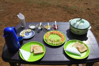 Camp Woody Luxury Camp