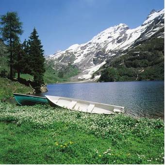 Bed & Breakfast Pension Staldacher