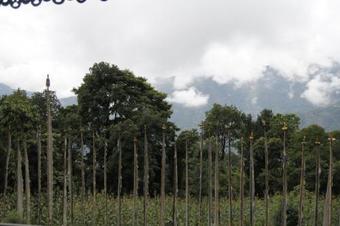 Agroturismo Vamoose Rabangla