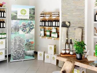 Apartamento Locazione Turistica Agriturismo Asplanato (dol161)