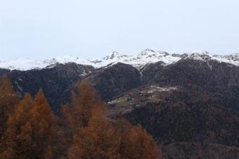 Apartamento Go Vacanze - Appartamenti Di Privati In Vari Residence Di Marilleva 1400