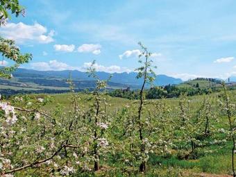 Apartamento Locazione Turistica Alpenvidehof (vdn423)