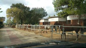 Dimora Del Viandante