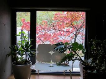 B&B Ah87 Osaka