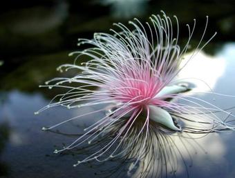 Hotel Villa Unarizaki