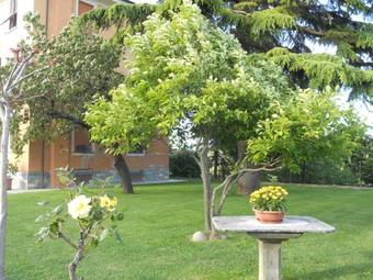 Apartamento Il Cedro
