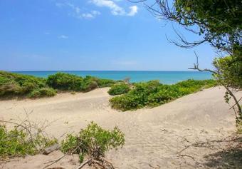 Back Of Beyond Dune Camp Yala