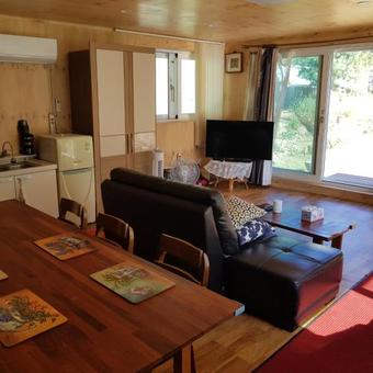 Lodge Calmming In Forest