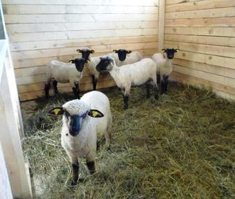 Agroturismo Senosios Geguzines Ukis