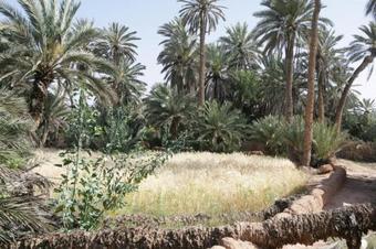 Bed & Breakfast Villa Boujouf