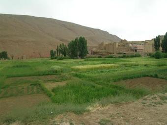 Hotel Baddou
