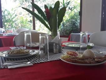 Hotel Villa Blanca Suites