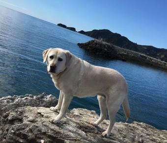 Bed & Breakfast Abel Tasman Sands Bnb