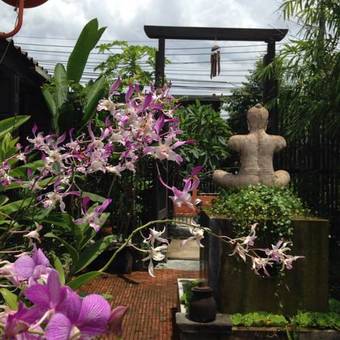 Posada Artist's Place Trat