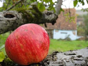 Agroturismo Dominic Boutique, Little Barn , Cloasterf