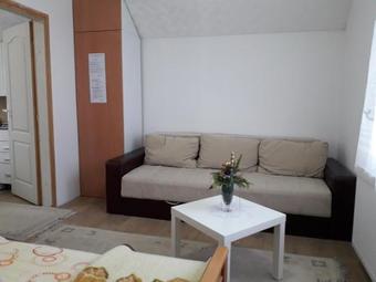 Stara Planina Stankovic Apartman