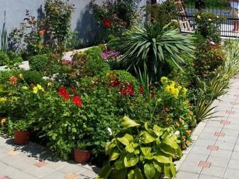 Motel Vila Mila Riverside Apartments