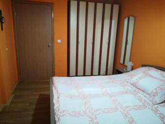 Apartment Branicevska 1