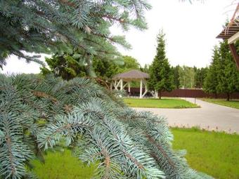 Dubki Hotel