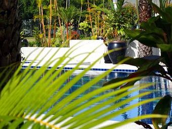 Hotel Mango Beach Resort