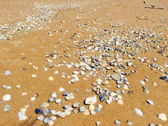 Hostal Lyubimaya Guest House