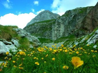 Hostal Guest House Hermanov Hram