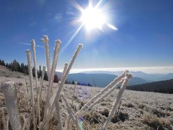 Apartmajsko Naselje Ribni?ko Pohorje