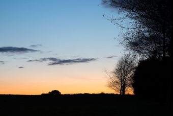 Musk Farm Studio