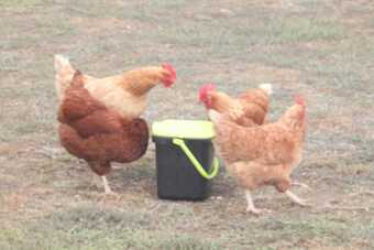 Bed & Breakfast La Bella Vita