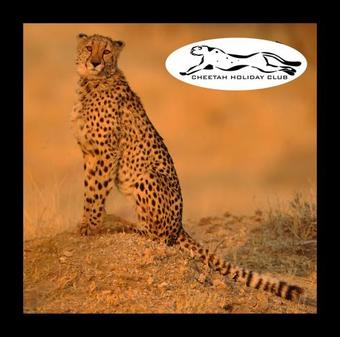 Hostal Cheetah Holiday Club