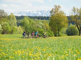 Hotel "krone" - Immenstadt-stein