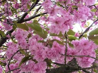 Apartamento Ferienwohnung-4you