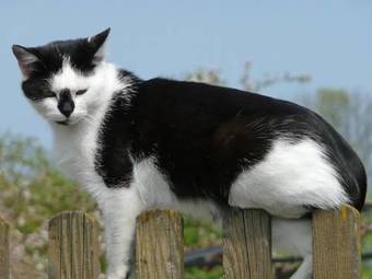 Holiday Home Gramsen Hellbuhl/ruswil