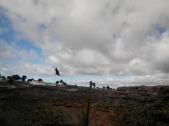 Hotel Balcones De Piedad