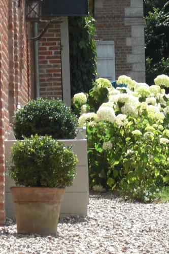 Bed & Breakfast Chambres D'aumont