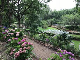 Hostal Foxglove Gardens