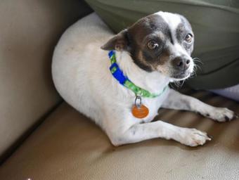 Apartamento Dreamcatcher House