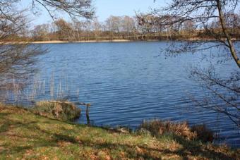 Ferienwohnung Roedlin See 5913