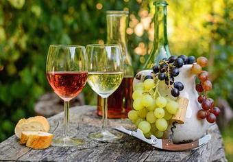 Hotel Restaurant Goger