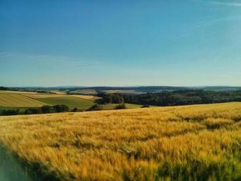 Hotel Landgasthof Gemmer