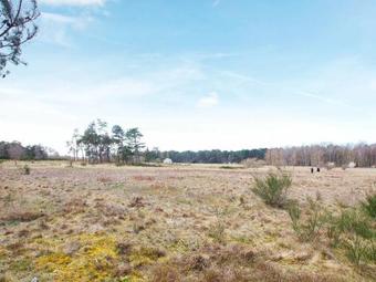 Holiday Home Violvej