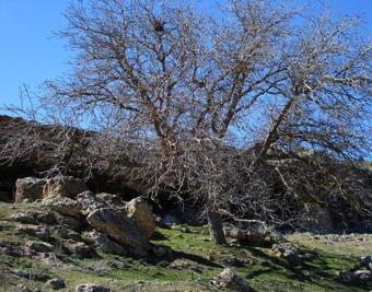 Casas Rurales Campolibre