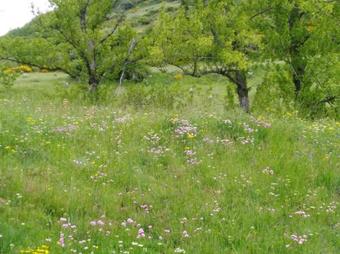 Hotel Rural Las Encinas