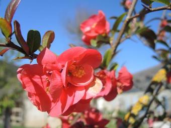 Apartamento Le Beluga Lourdes Pyr�n�es