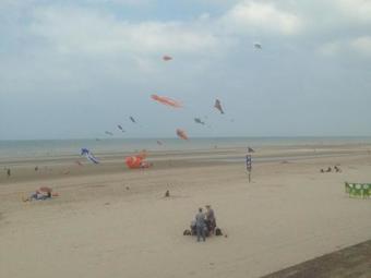 Modern Apartment In Bray-dune With Seaside View